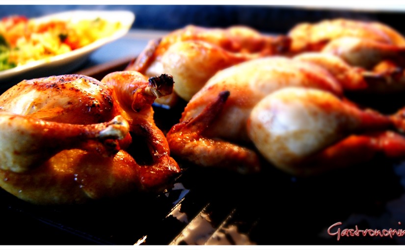 Carnes de ave – Tipos