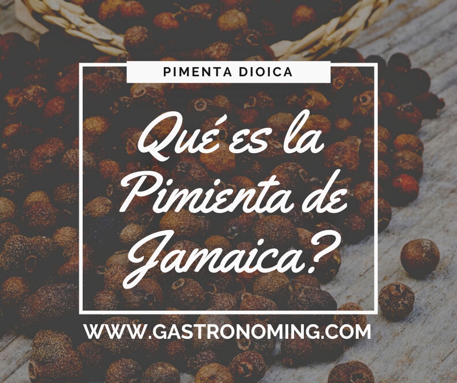 ¿Qué es la Pimienta de Jamaica?