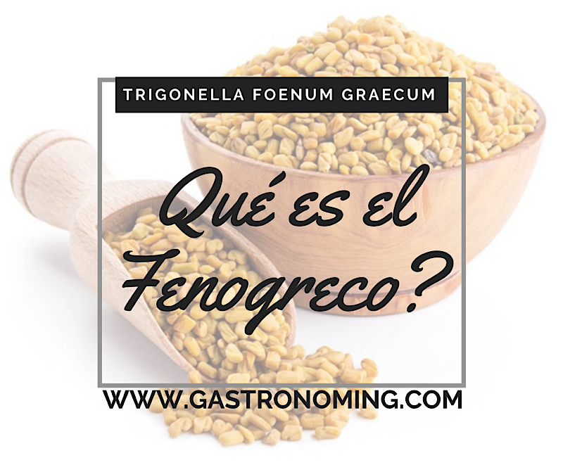 ¿Qué es el Fenogreco?